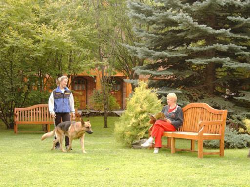 Apart Hotel La Bora San Martín de los Andes Esterno foto